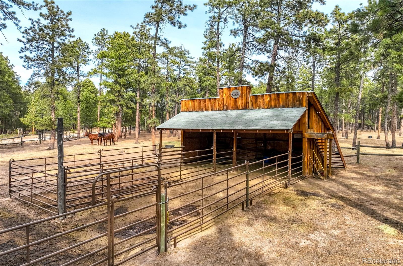 MLS Image #8 for 12225  glenridge lane,colorado springs, Colorado