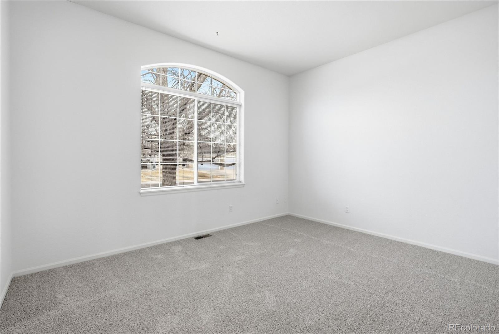 MLS Image #31 for 17454 e dewberry drive,parker, Colorado