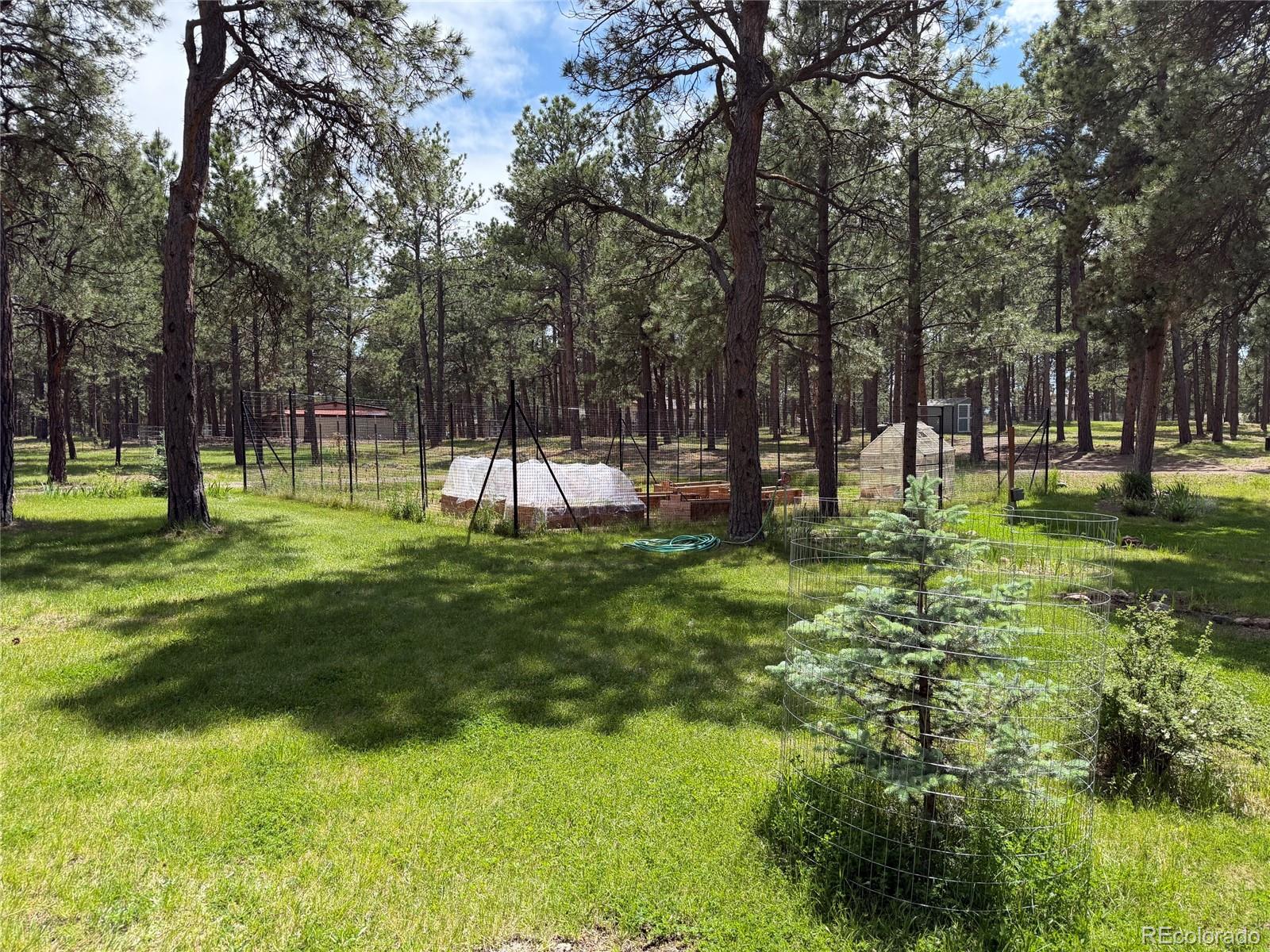 MLS Image #41 for 15430  bar x road,colorado springs, Colorado