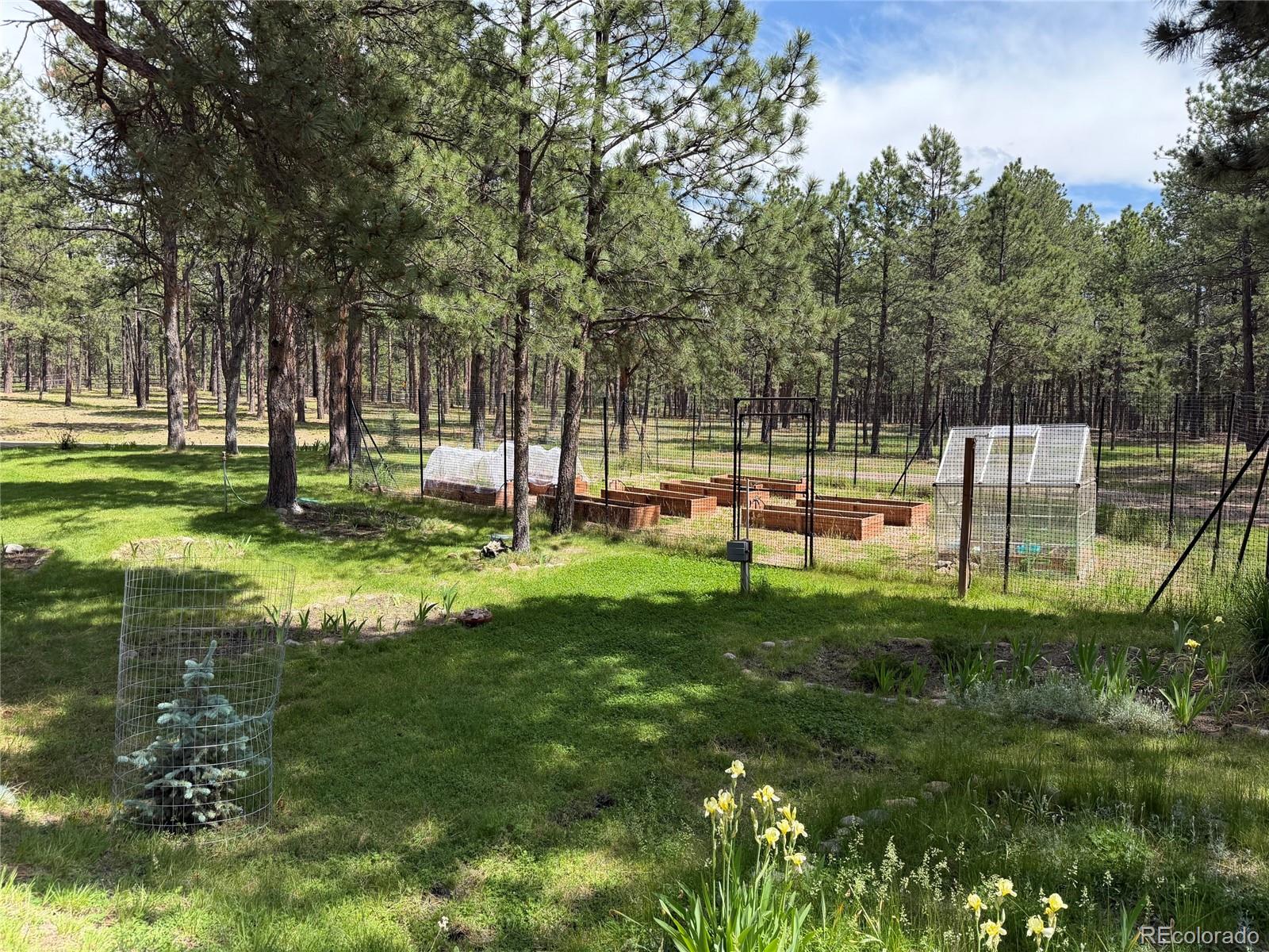 MLS Image #42 for 15430  bar x road,colorado springs, Colorado