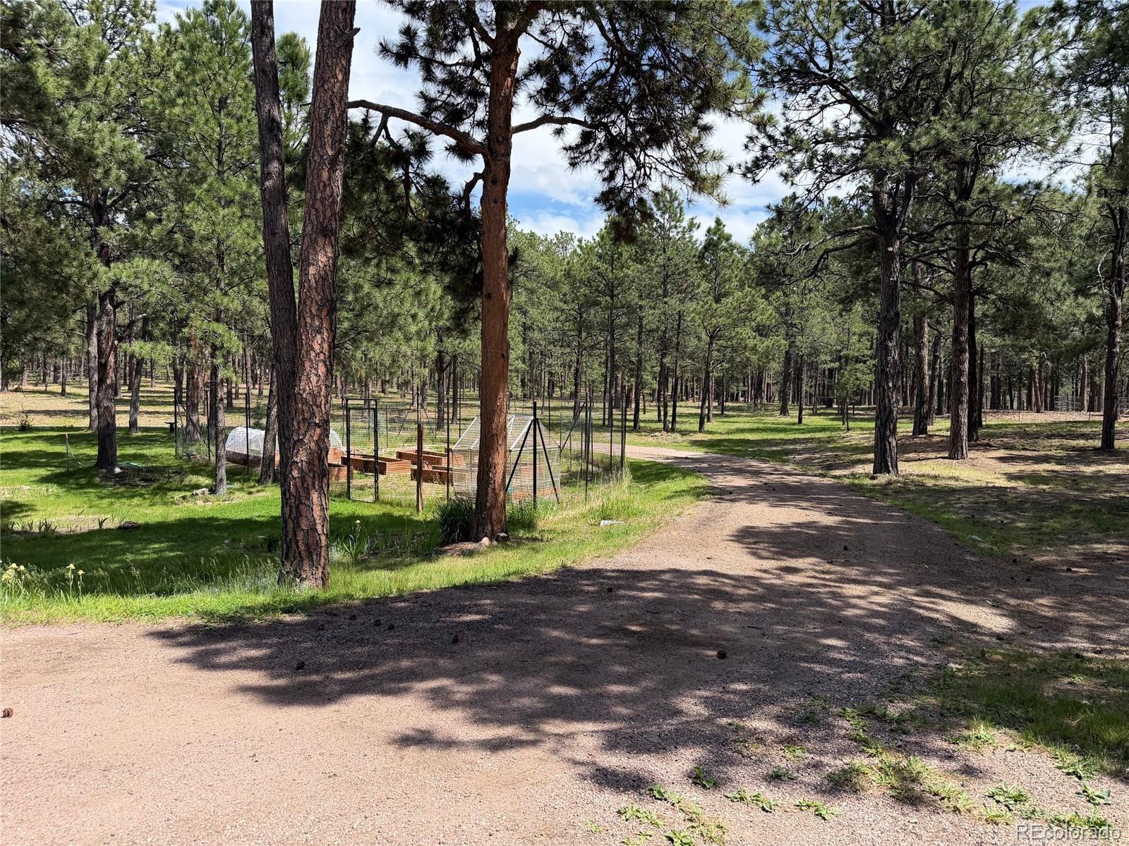MLS Image #43 for 15430  bar x road,colorado springs, Colorado