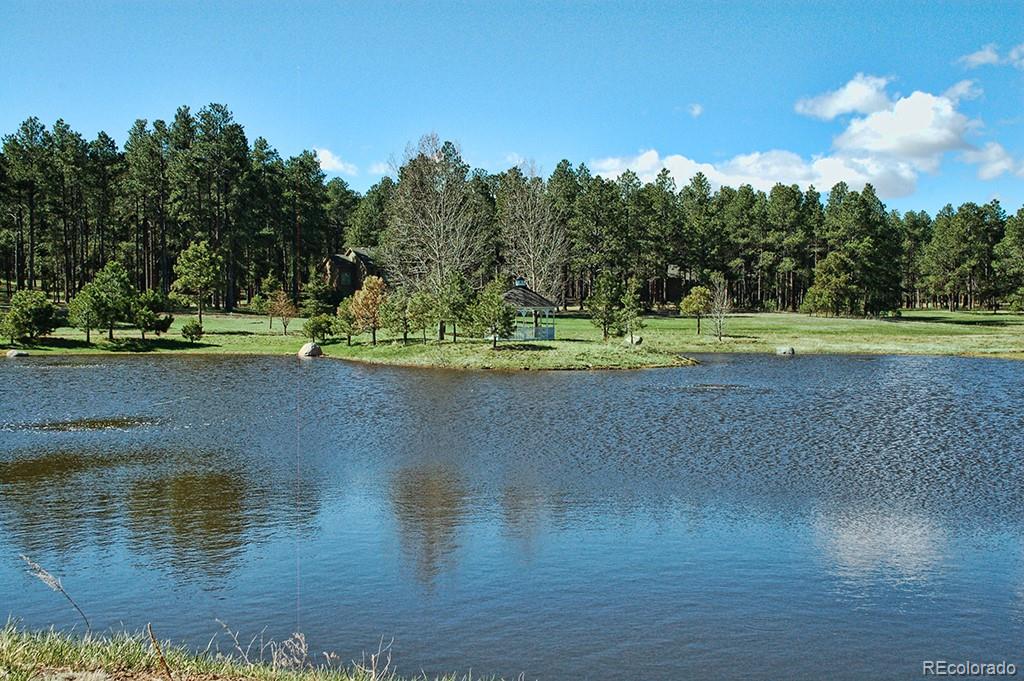MLS Image #49 for 19629  royal troon drive,monument, Colorado