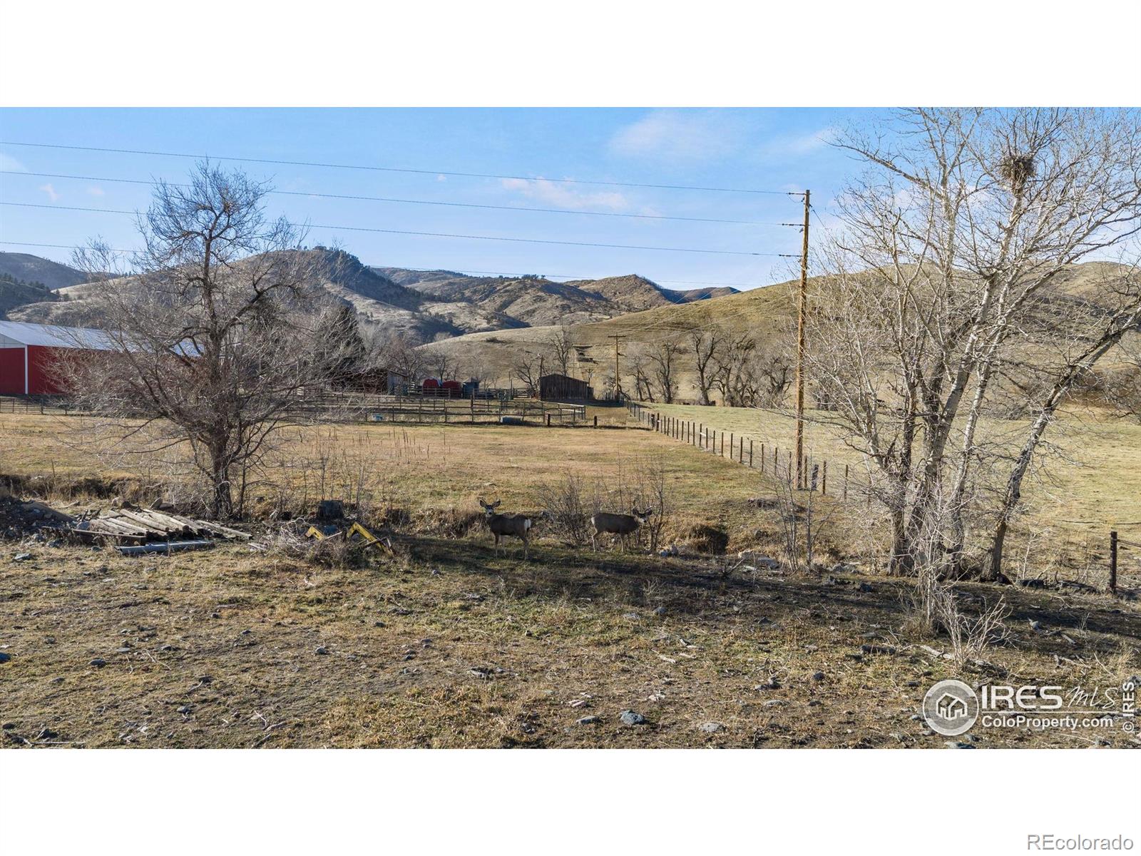 MLS Image #35 for 1837 n county road 25 ,bellvue, Colorado