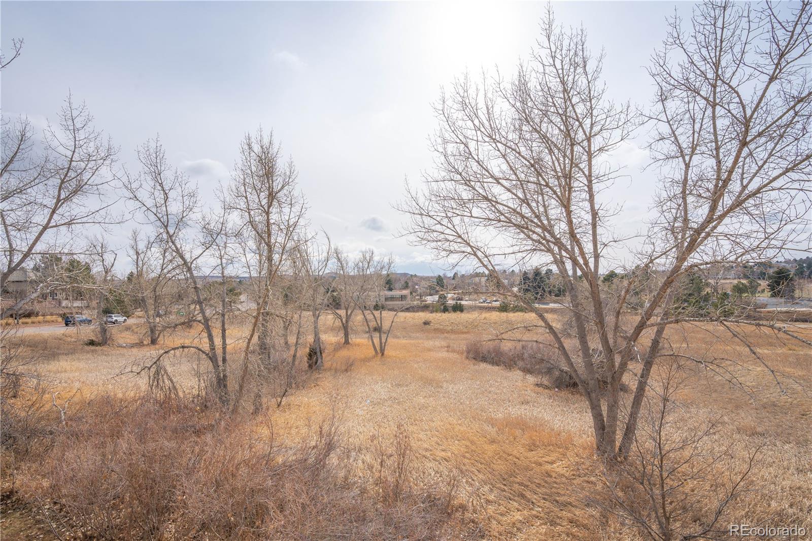 MLS Image #38 for 8870  fiesta terrace ,lone tree, Colorado