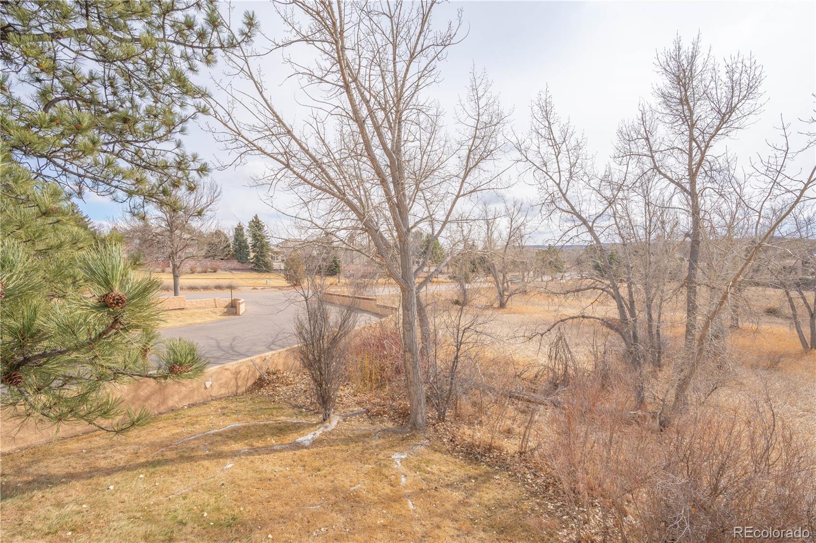 MLS Image #39 for 8870  fiesta terrace ,lone tree, Colorado
