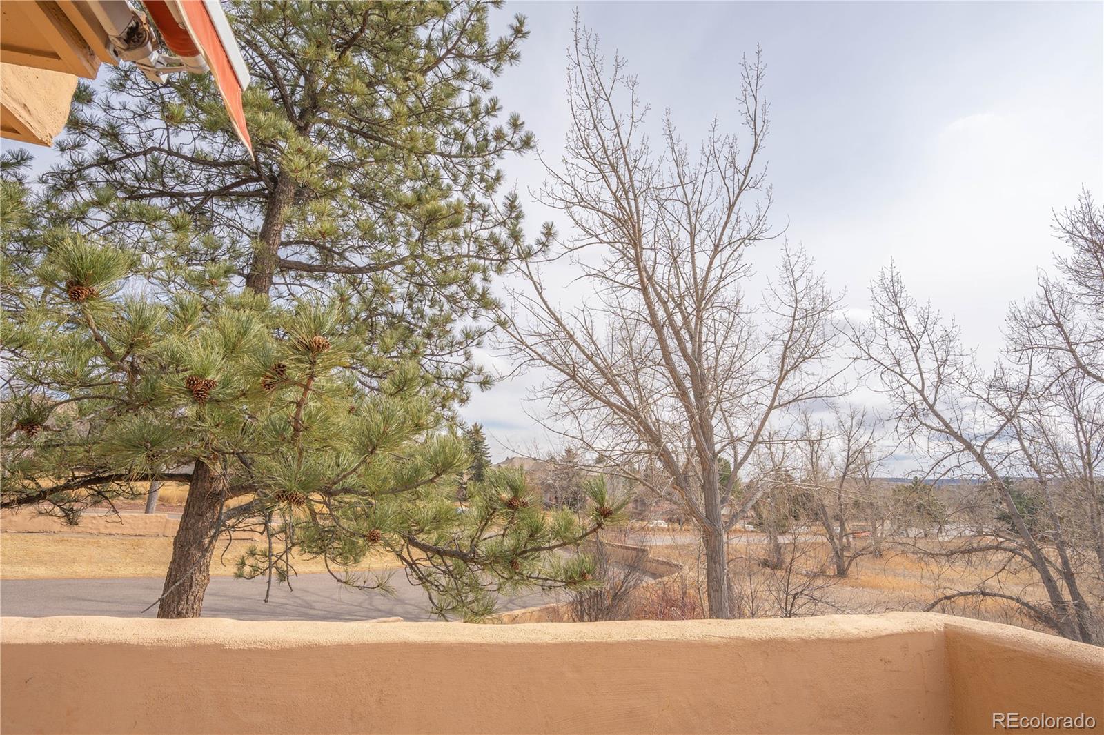 MLS Image #40 for 8870  fiesta terrace ,lone tree, Colorado