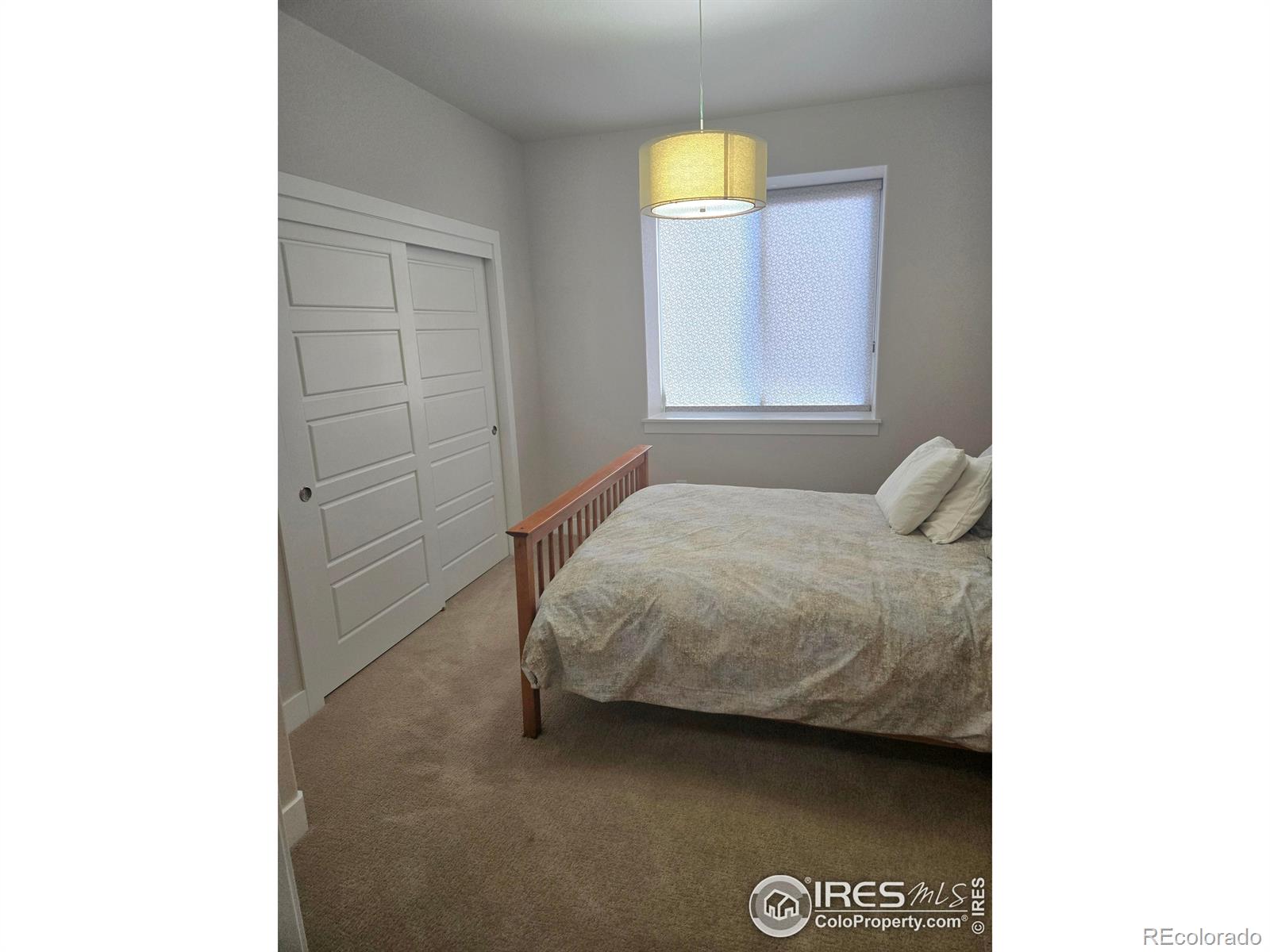 MLS Image #12 for 7292  mcclellan road,wellington, Colorado