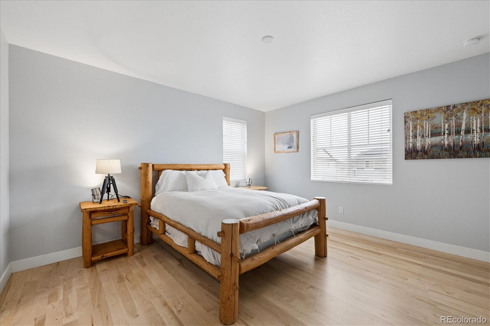 MLS Image #18 for 49  morgan circle,erie, Colorado