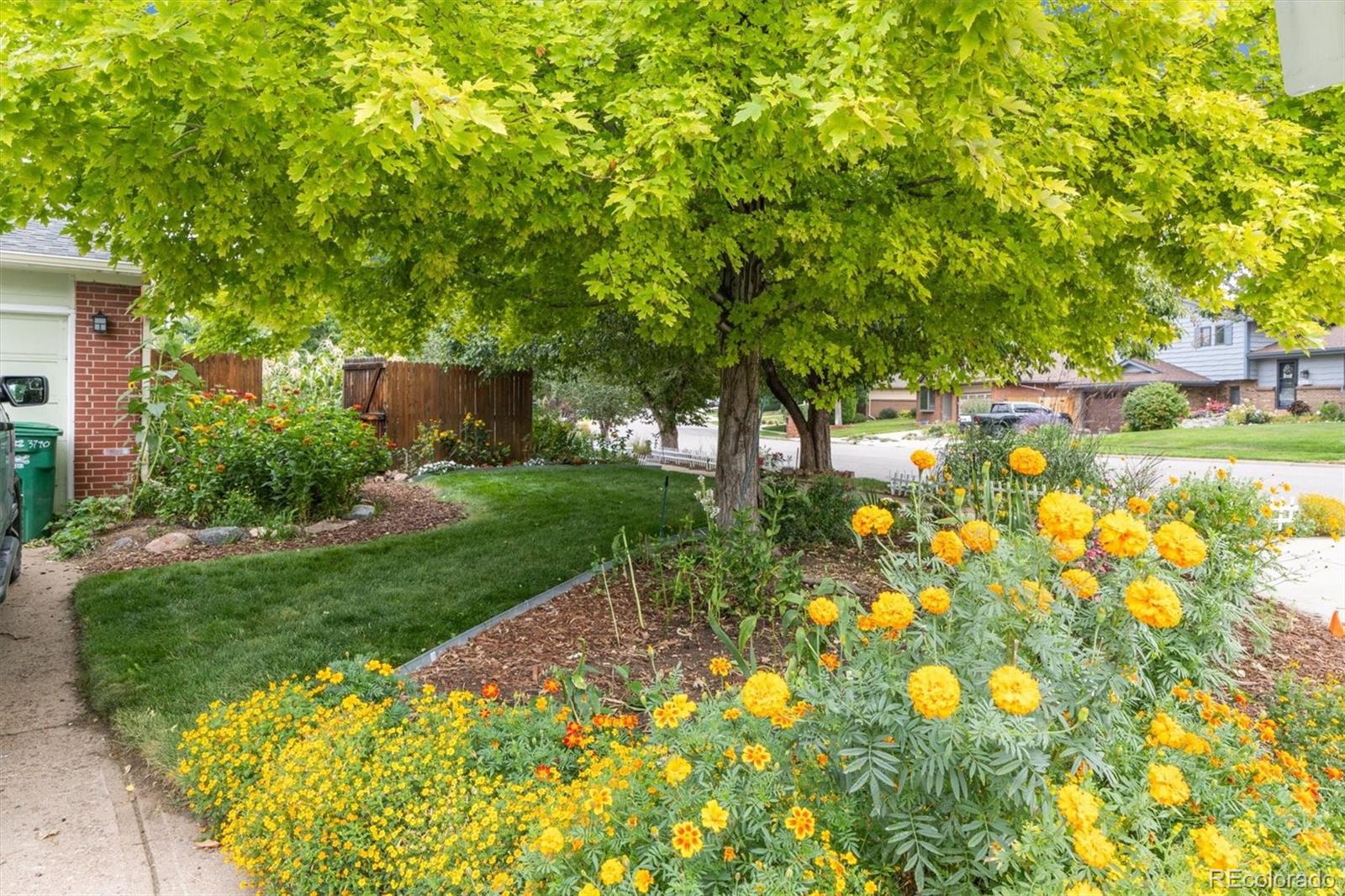 MLS Image #29 for 3790 s eaton street,denver, Colorado