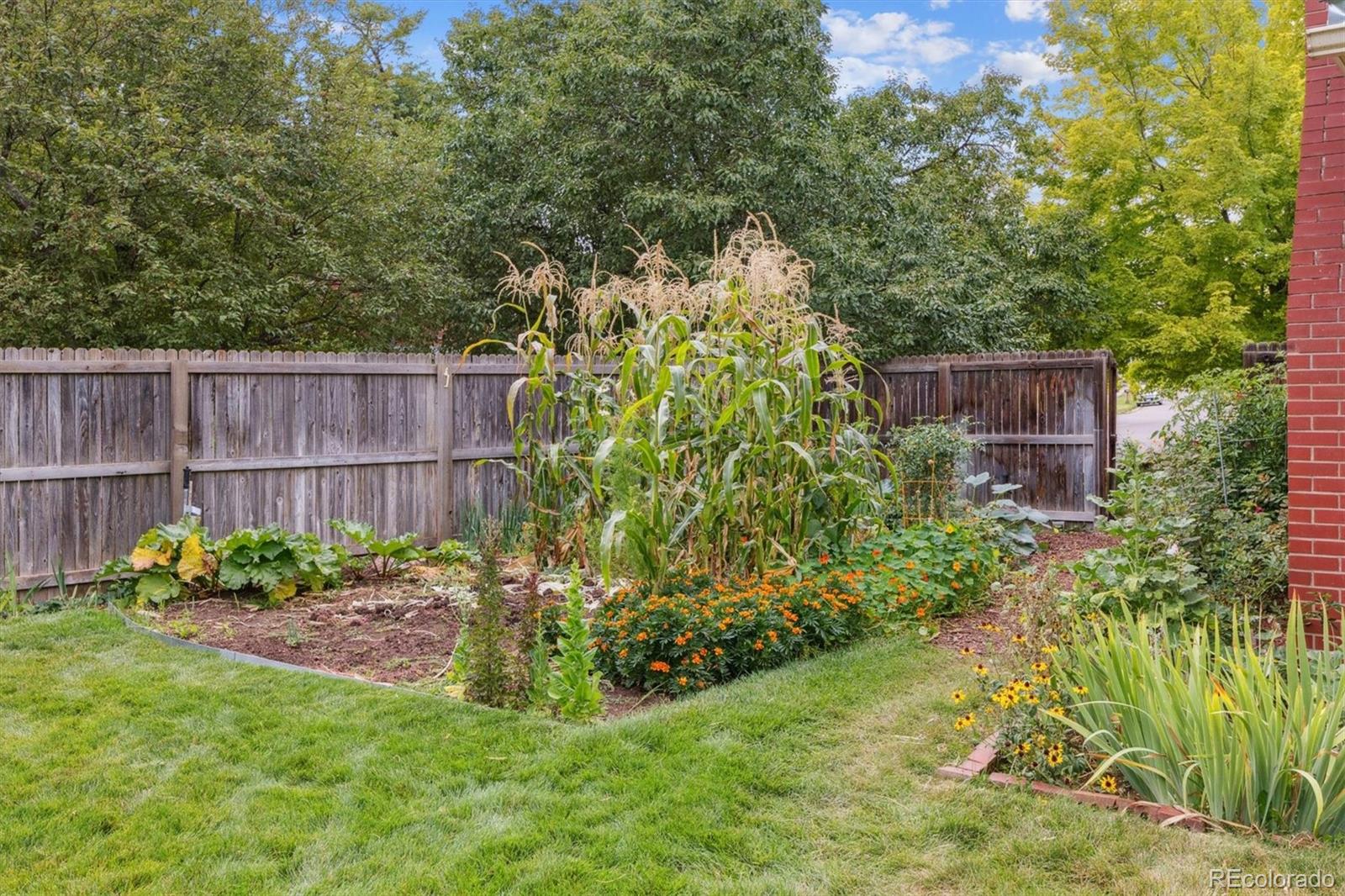 MLS Image #32 for 3790 s eaton street,denver, Colorado