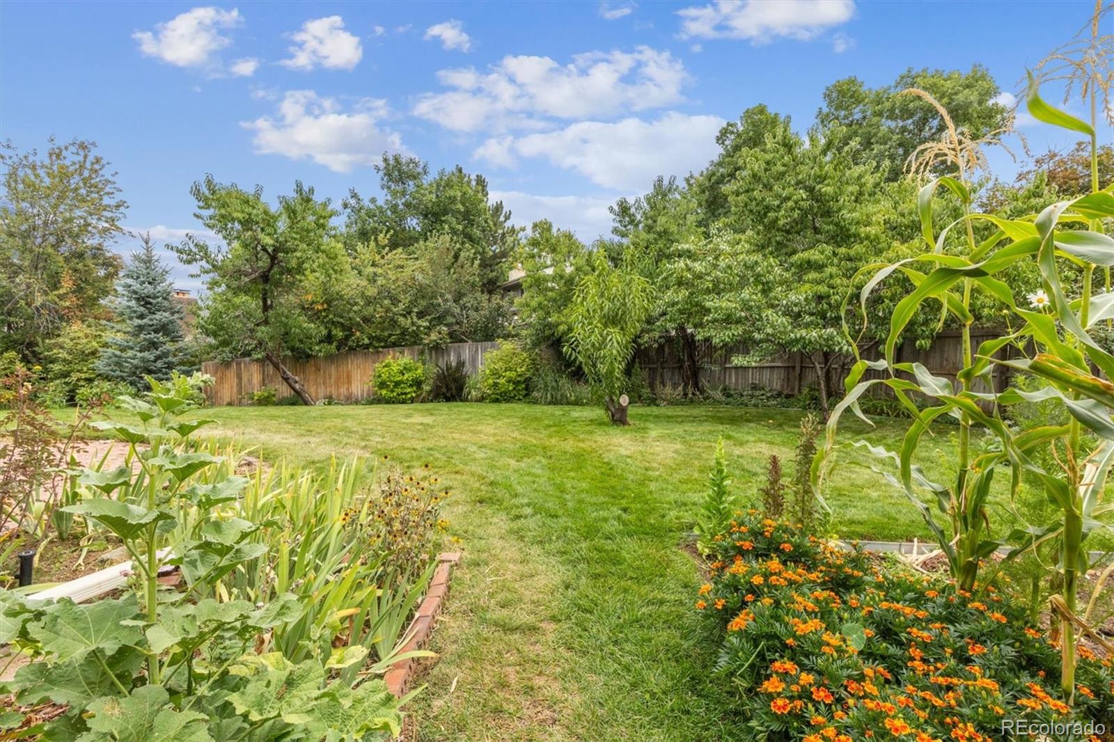 MLS Image #38 for 3790 s eaton street,denver, Colorado