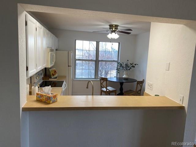MLS Image #6 for 965 s miller street,lakewood, Colorado
