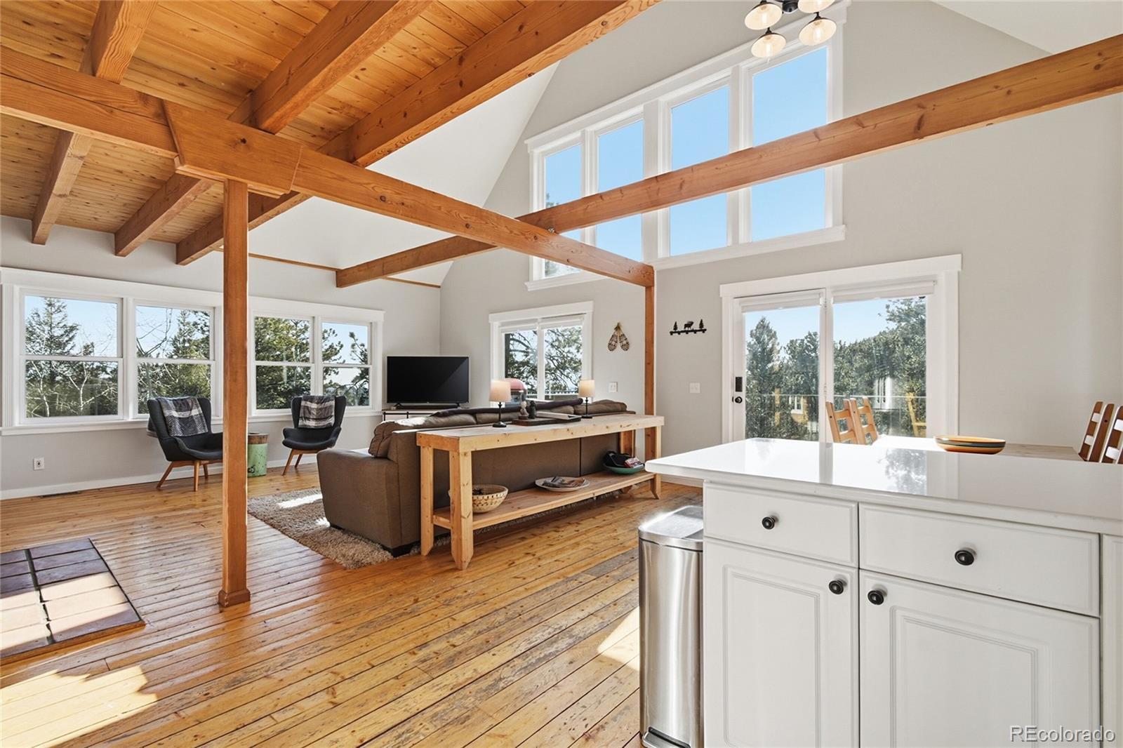 MLS Image #10 for 1397 s pine drive,bailey, Colorado