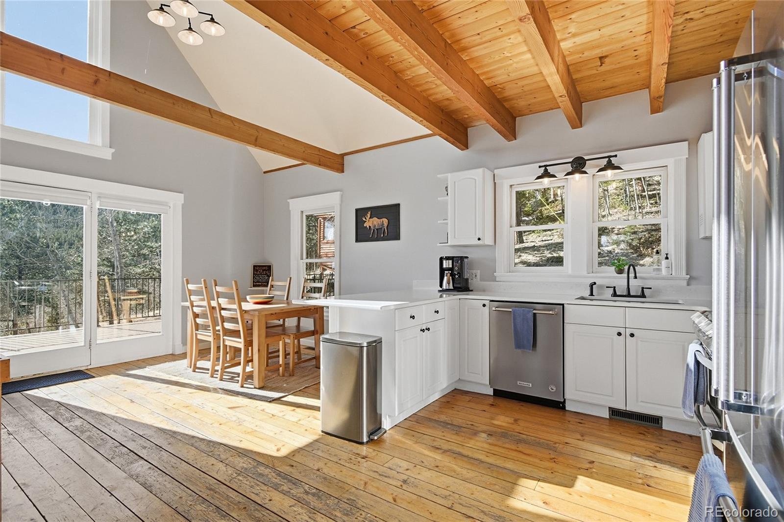MLS Image #11 for 1397 s pine drive,bailey, Colorado