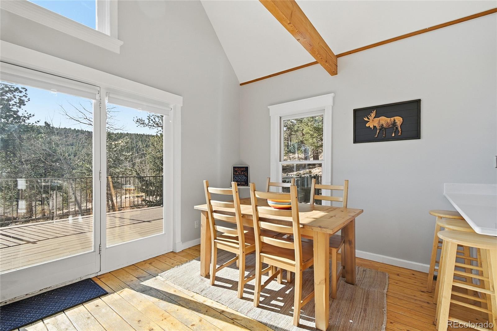 MLS Image #12 for 1397 s pine drive,bailey, Colorado