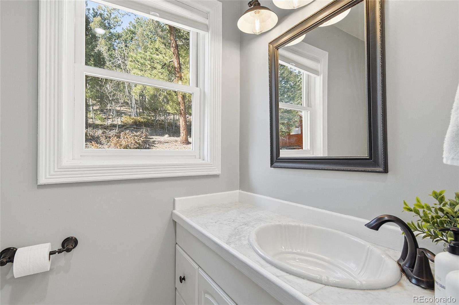 MLS Image #18 for 1397 s pine drive,bailey, Colorado