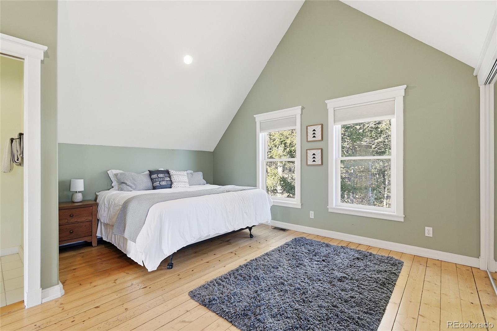 MLS Image #21 for 1397 s pine drive,bailey, Colorado