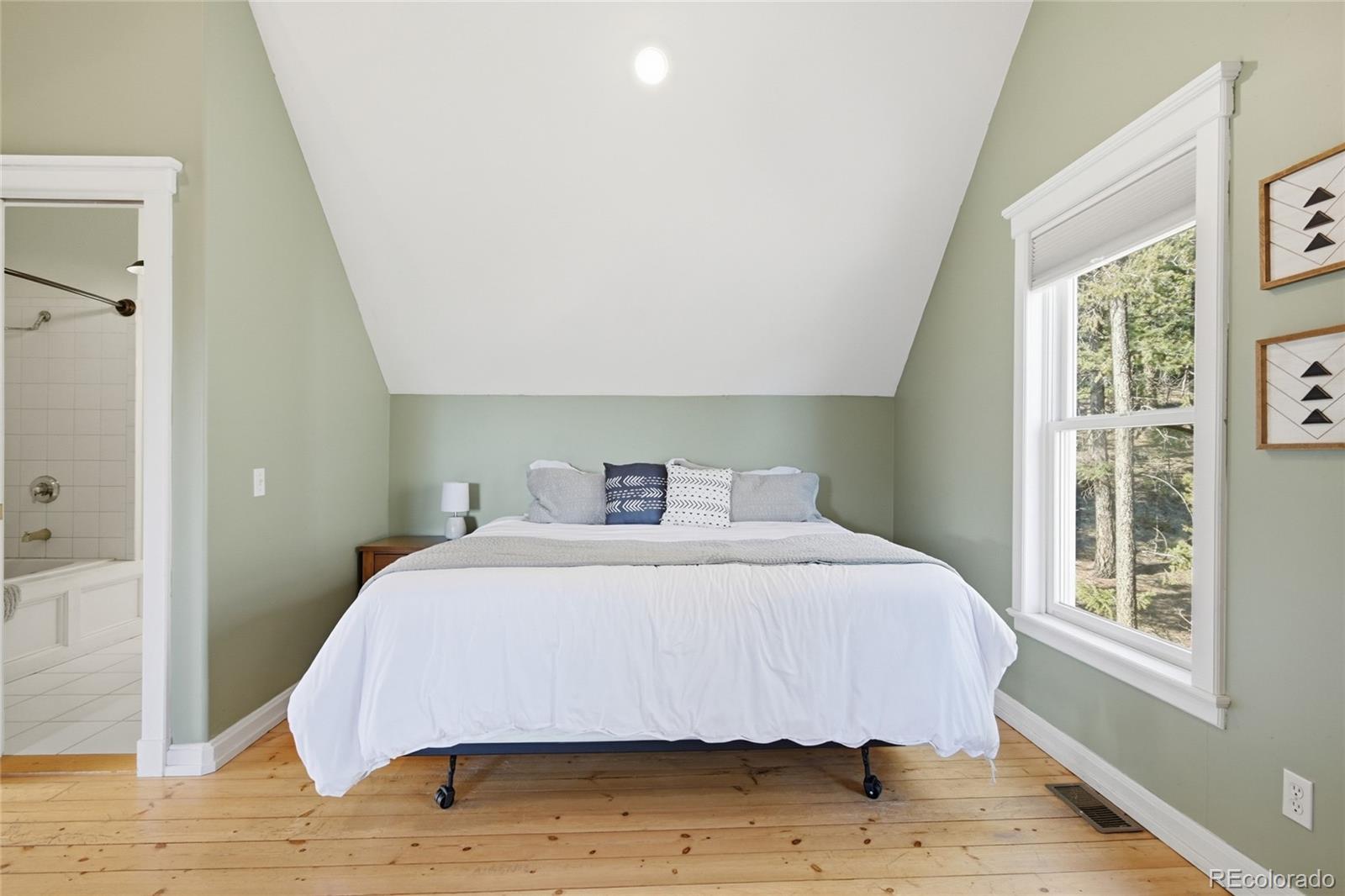MLS Image #22 for 1397 s pine drive,bailey, Colorado