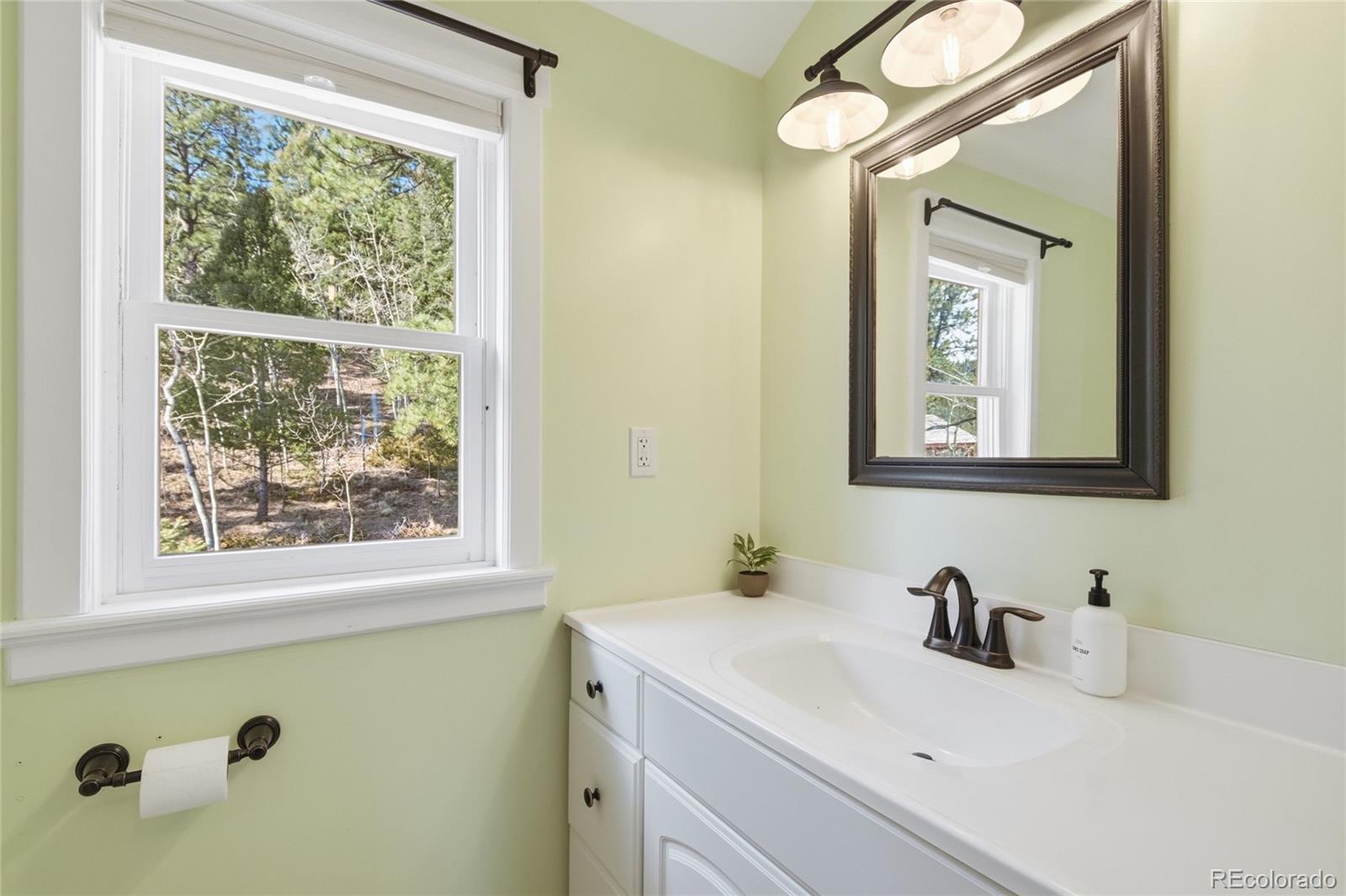 MLS Image #25 for 1397 s pine drive,bailey, Colorado