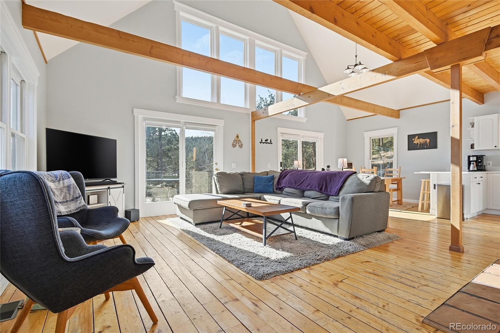 MLS Image #4 for 1397 s pine drive,bailey, Colorado