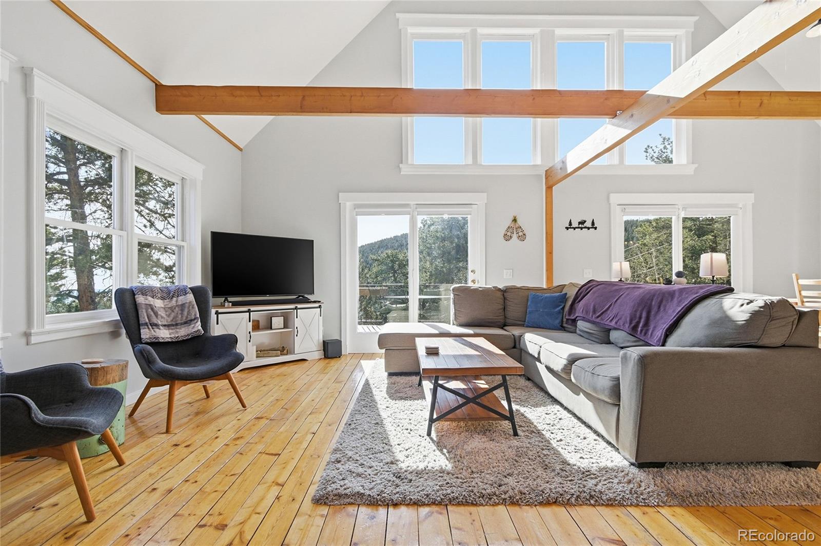 MLS Image #6 for 1397 s pine drive,bailey, Colorado