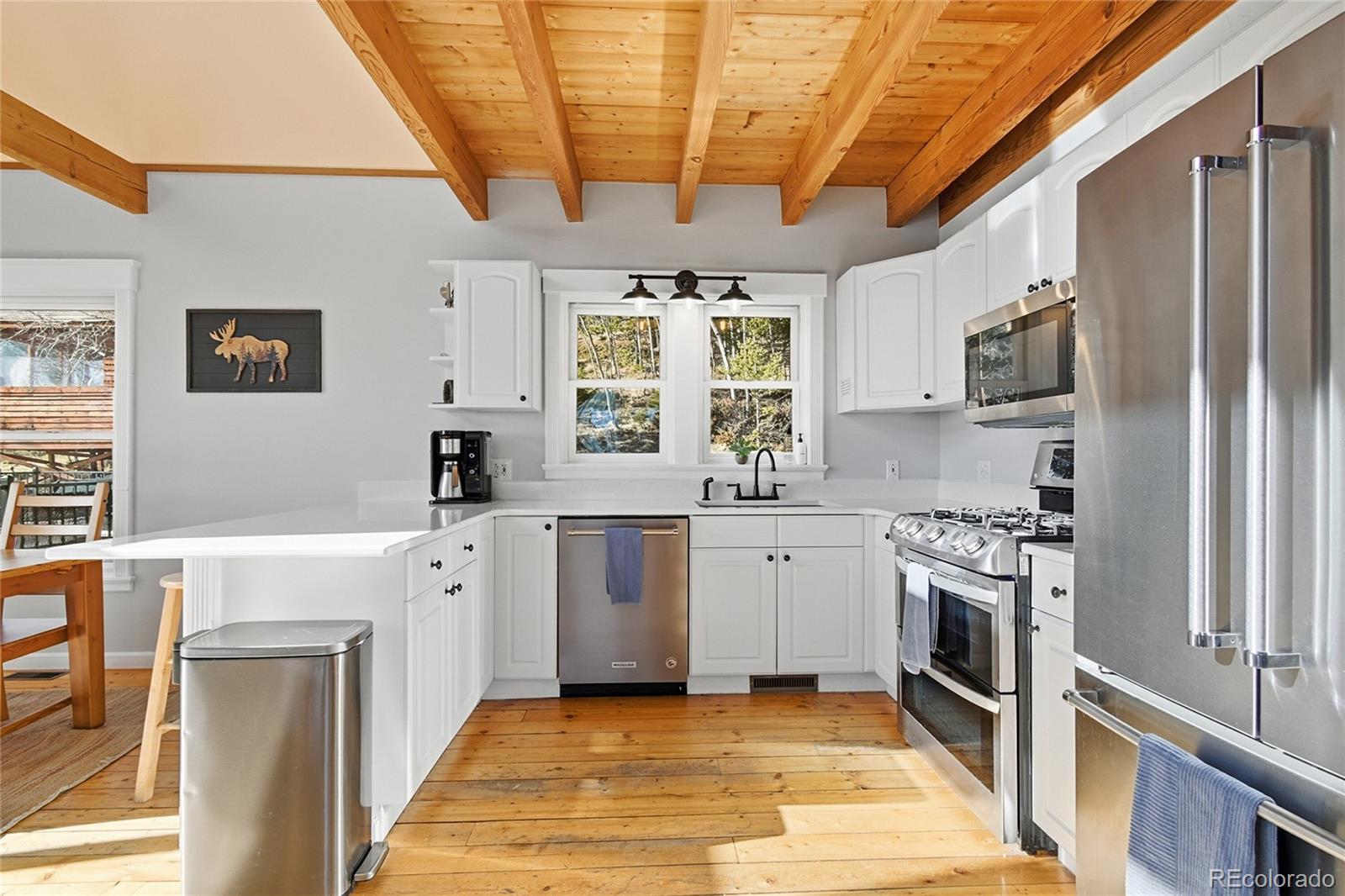 MLS Image #7 for 1397 s pine drive,bailey, Colorado