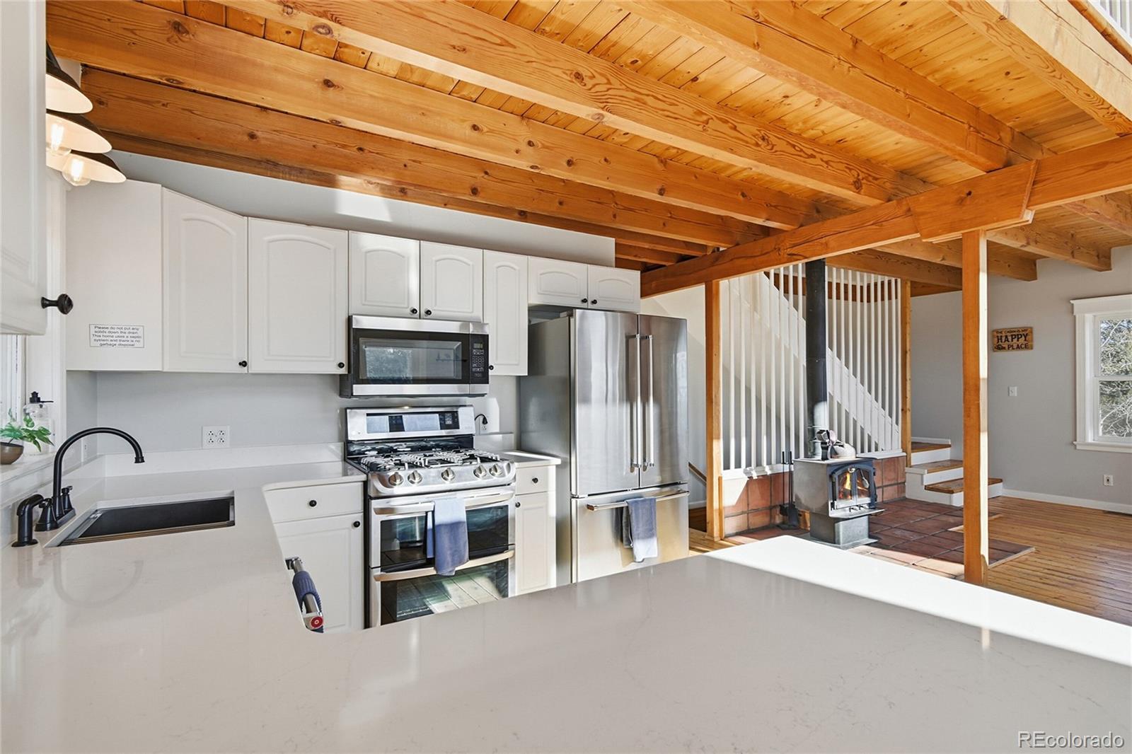 MLS Image #9 for 1397 s pine drive,bailey, Colorado