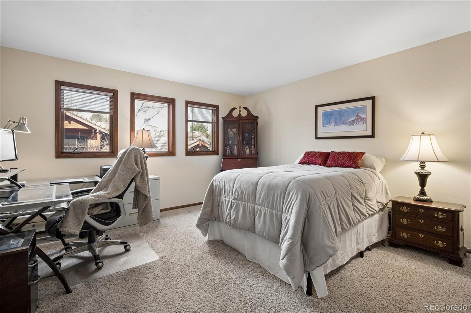MLS Image #15 for 16035  double eagle drive,morrison, Colorado