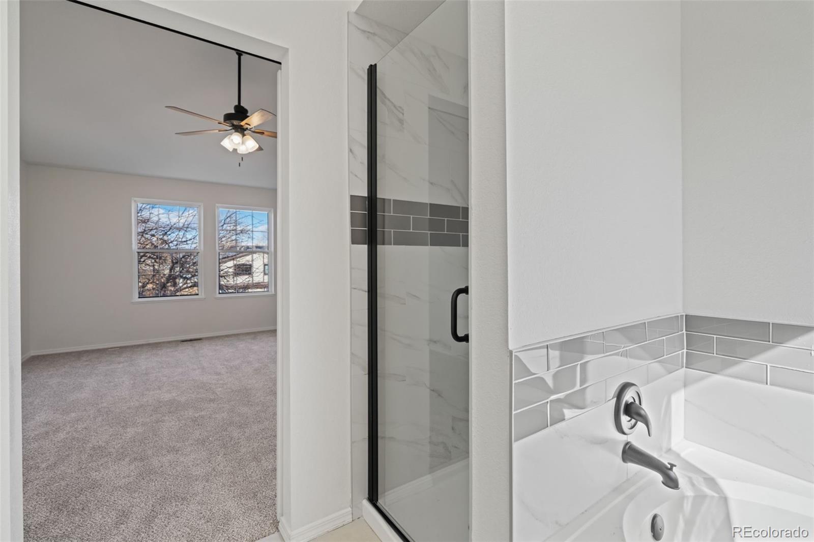 MLS Image #17 for 886  daffodil street,fountain, Colorado