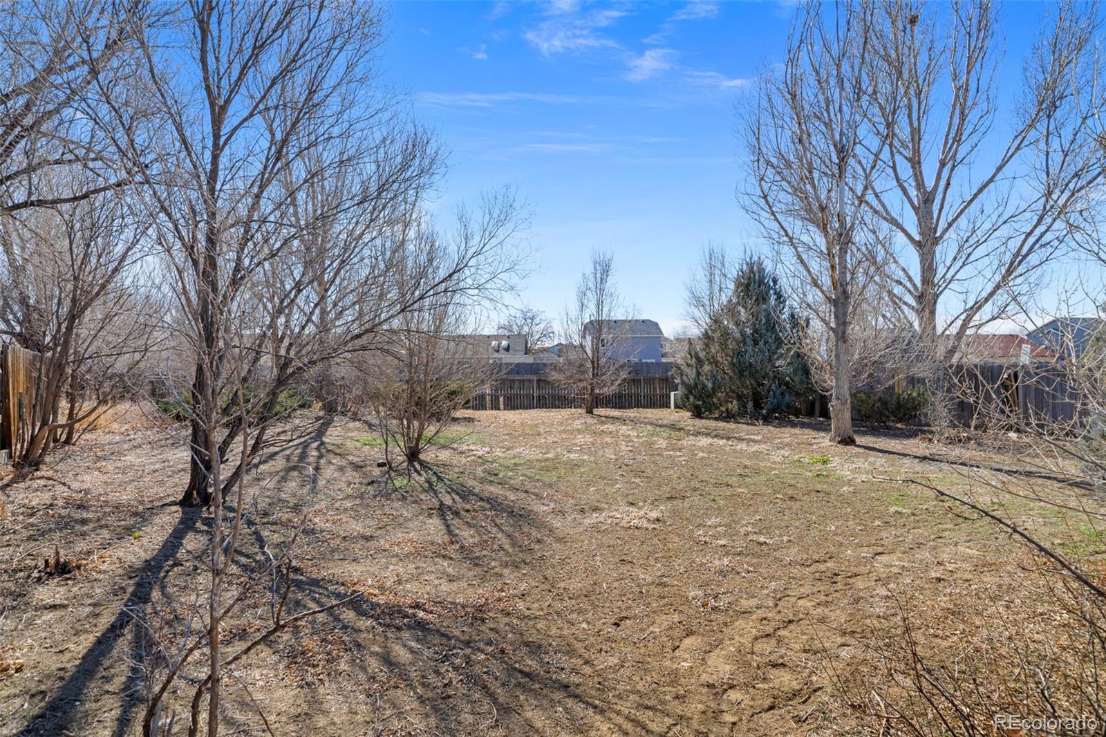 MLS Image #46 for 886  daffodil street,fountain, Colorado