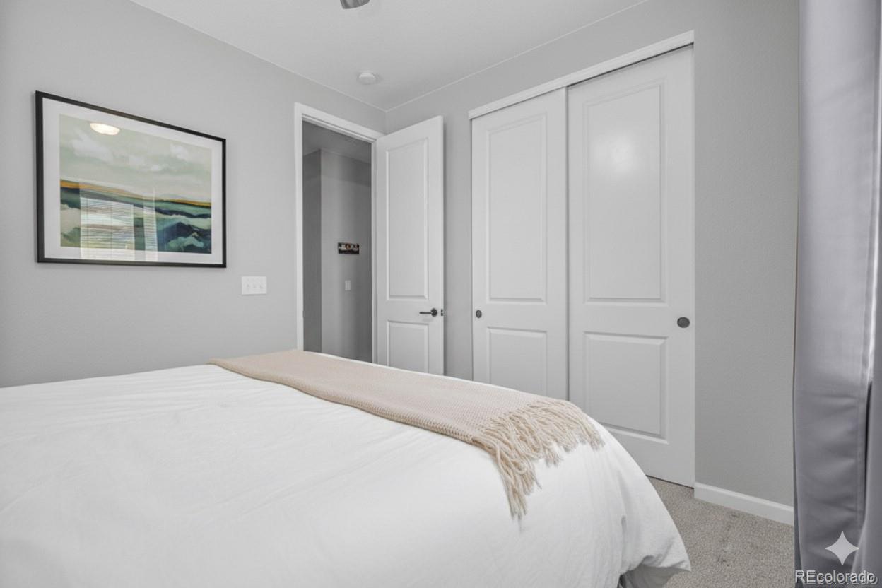 MLS Image #21 for 1683  castle vista way,castle rock, Colorado