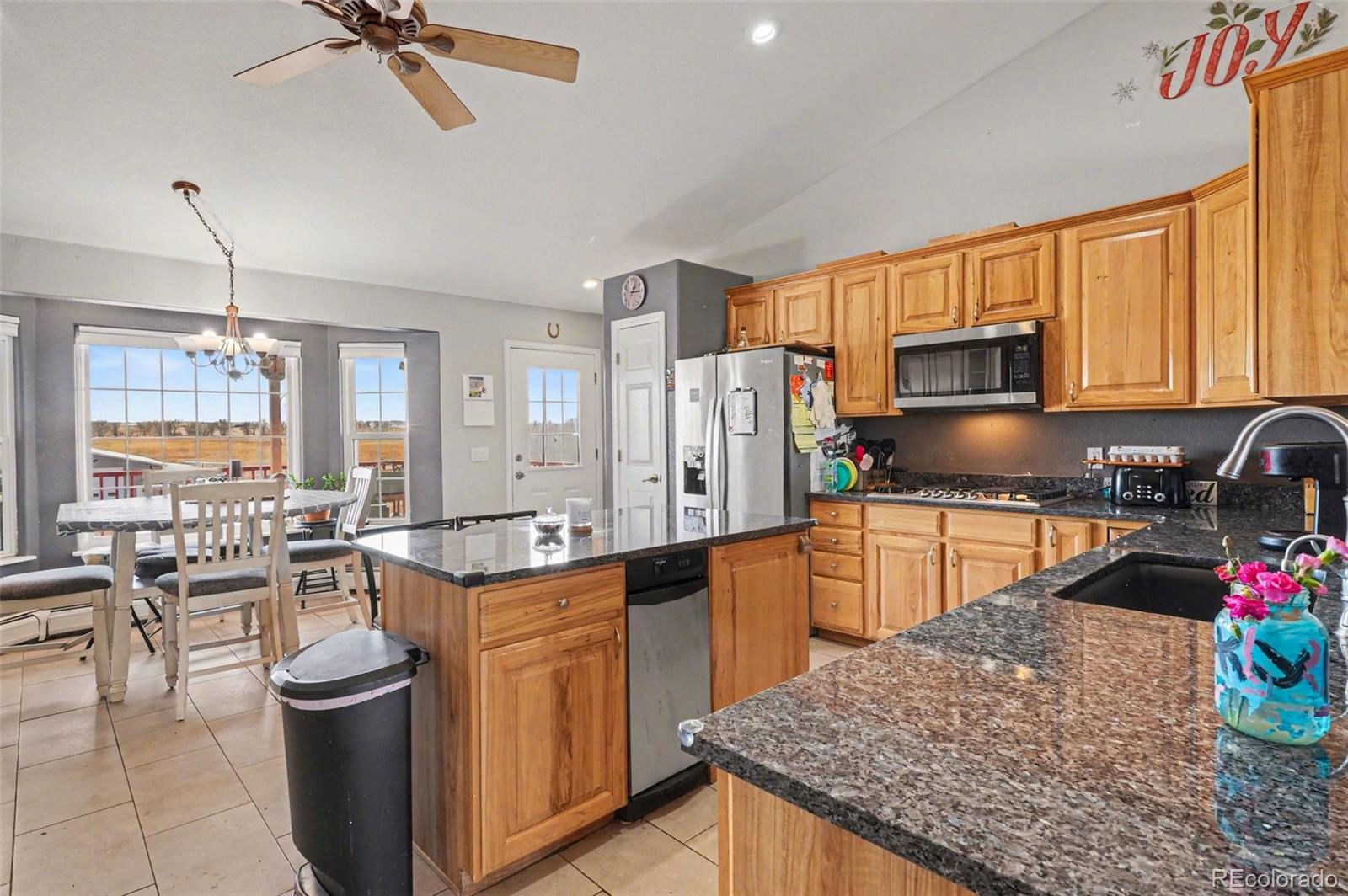 MLS Image #13 for 937  snow lake court,watkins, Colorado