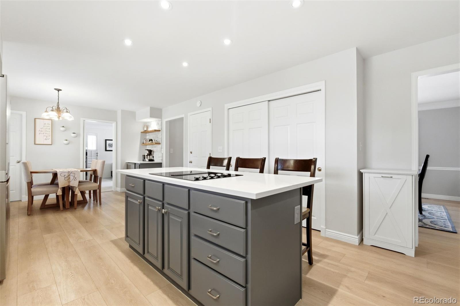 MLS Image #11 for 2255  thistle ridge circle,highlands ranch, Colorado