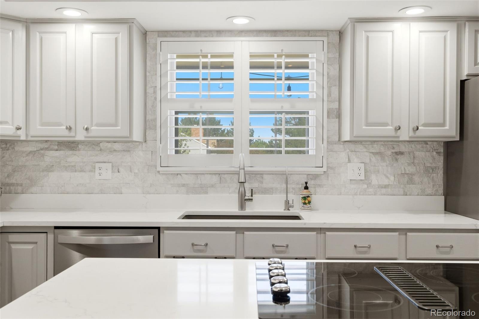 MLS Image #14 for 2255  thistle ridge circle,highlands ranch, Colorado