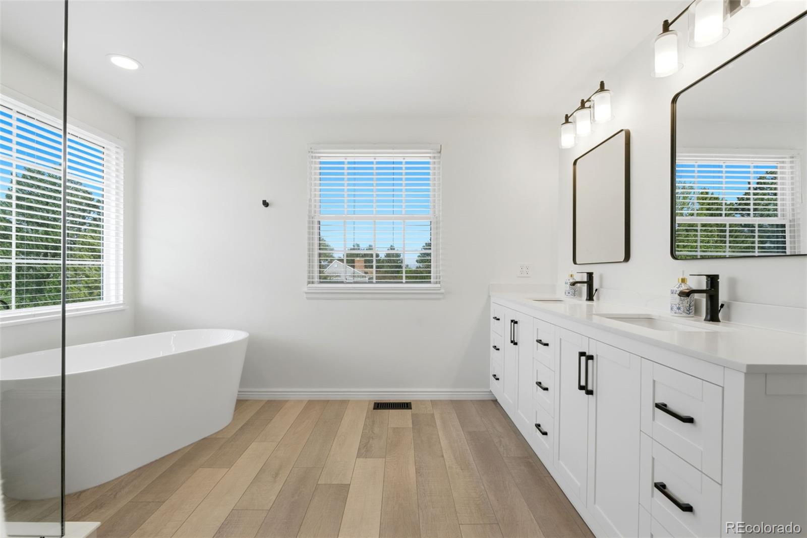 MLS Image #19 for 2255  thistle ridge circle,highlands ranch, Colorado