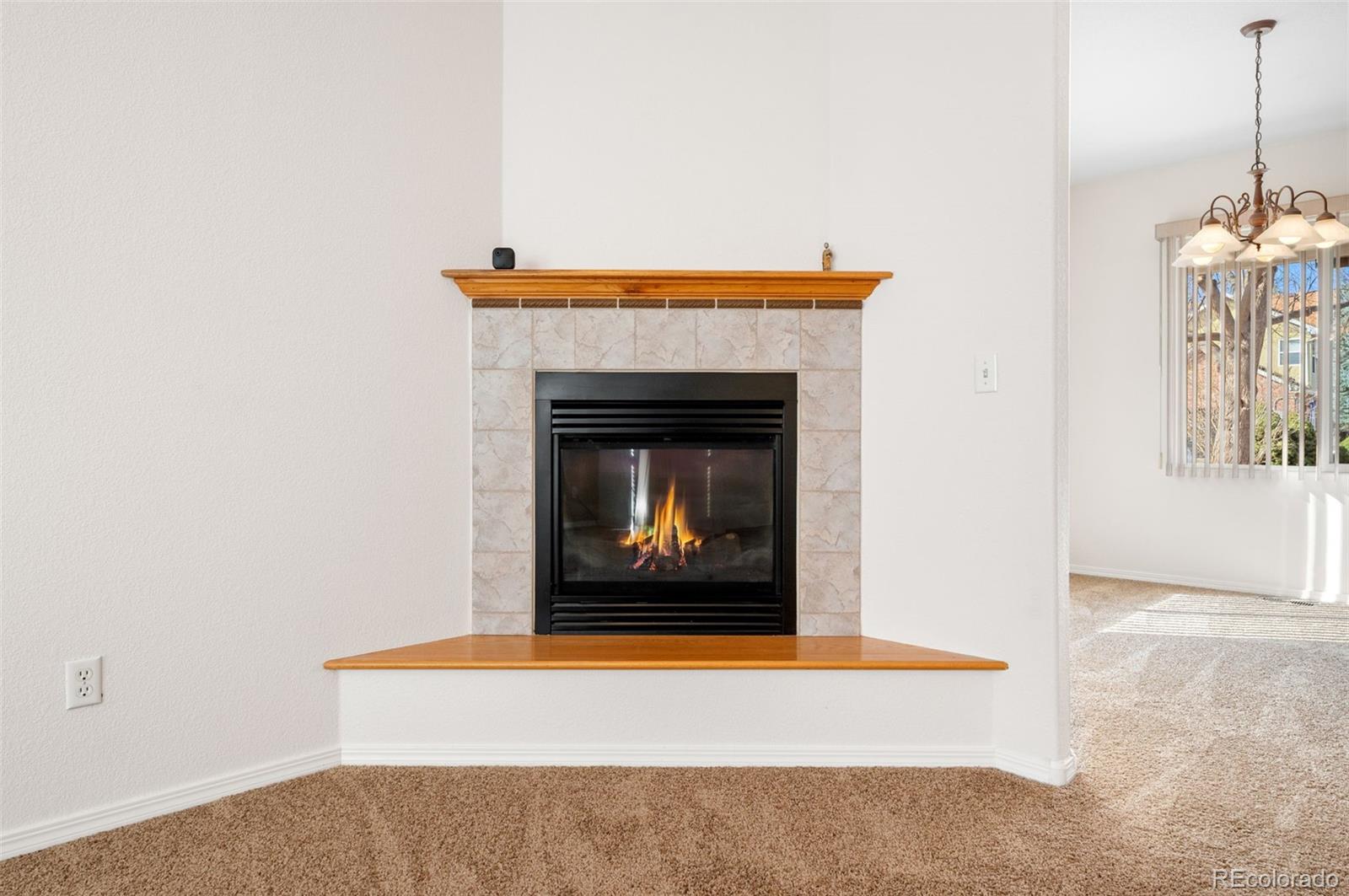 MLS Image #11 for 203  hubbell street,berthoud, Colorado