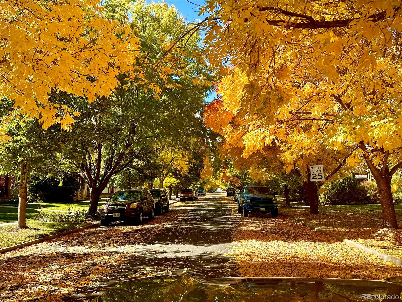 MLS Image #42 for 203  hubbell street,berthoud, Colorado