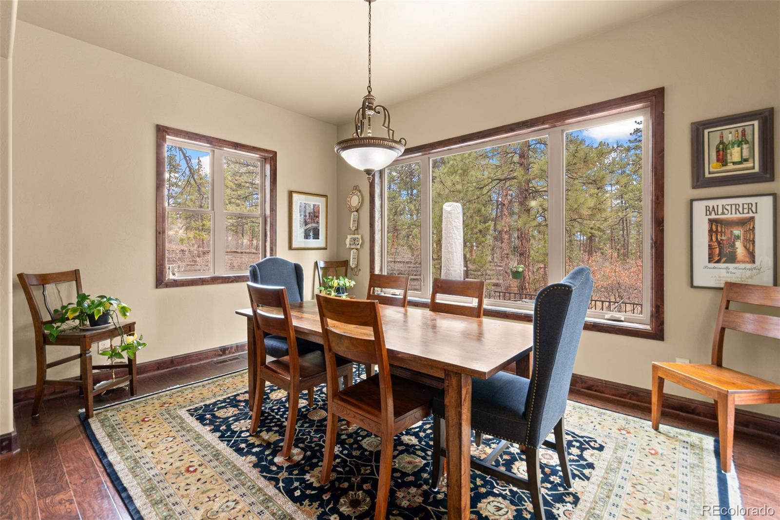 MLS Image #18 for 1429  gore circle,larkspur, Colorado