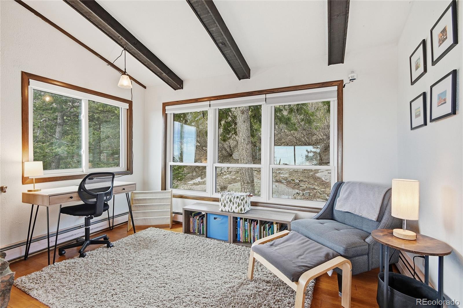 MLS Image #4 for 22725  cook lane,morrison, Colorado