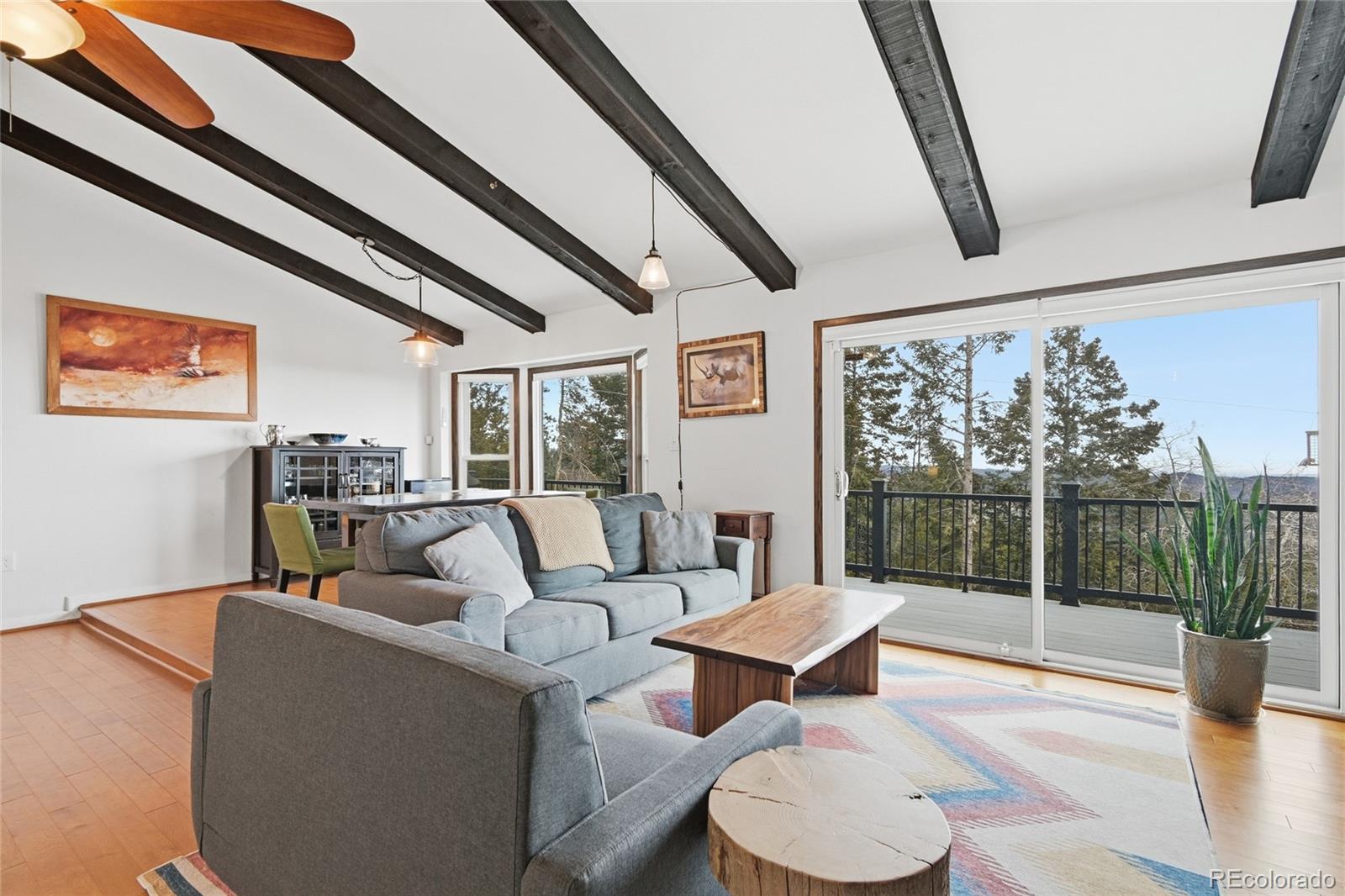 MLS Image #6 for 22725  cook lane,morrison, Colorado