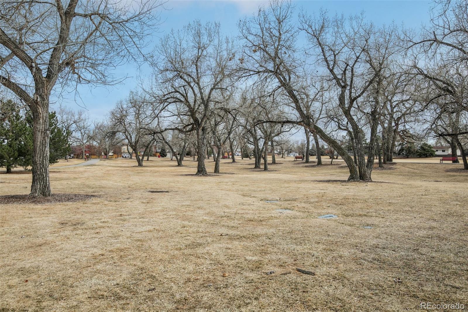 MLS Image #42 for 8262  johnson court,arvada, Colorado