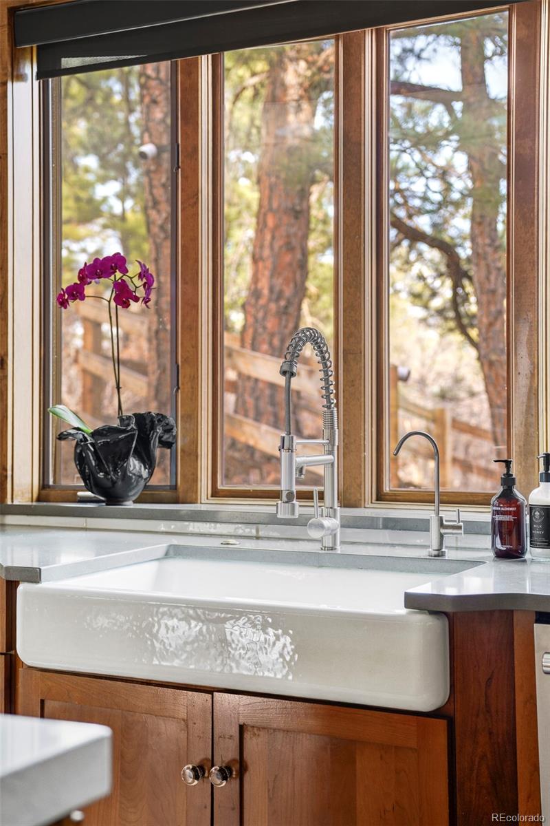 MLS Image #11 for 1255  forest trails drive,castle pines, Colorado