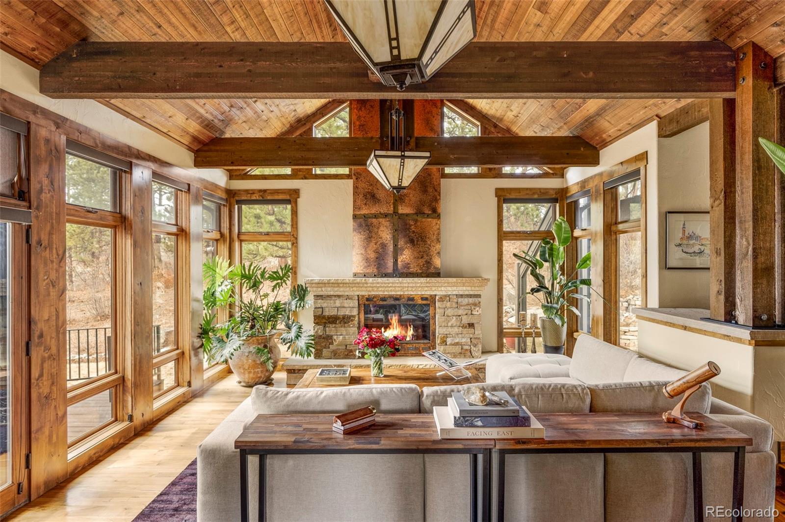 MLS Image #6 for 1255  forest trails drive,castle pines, Colorado