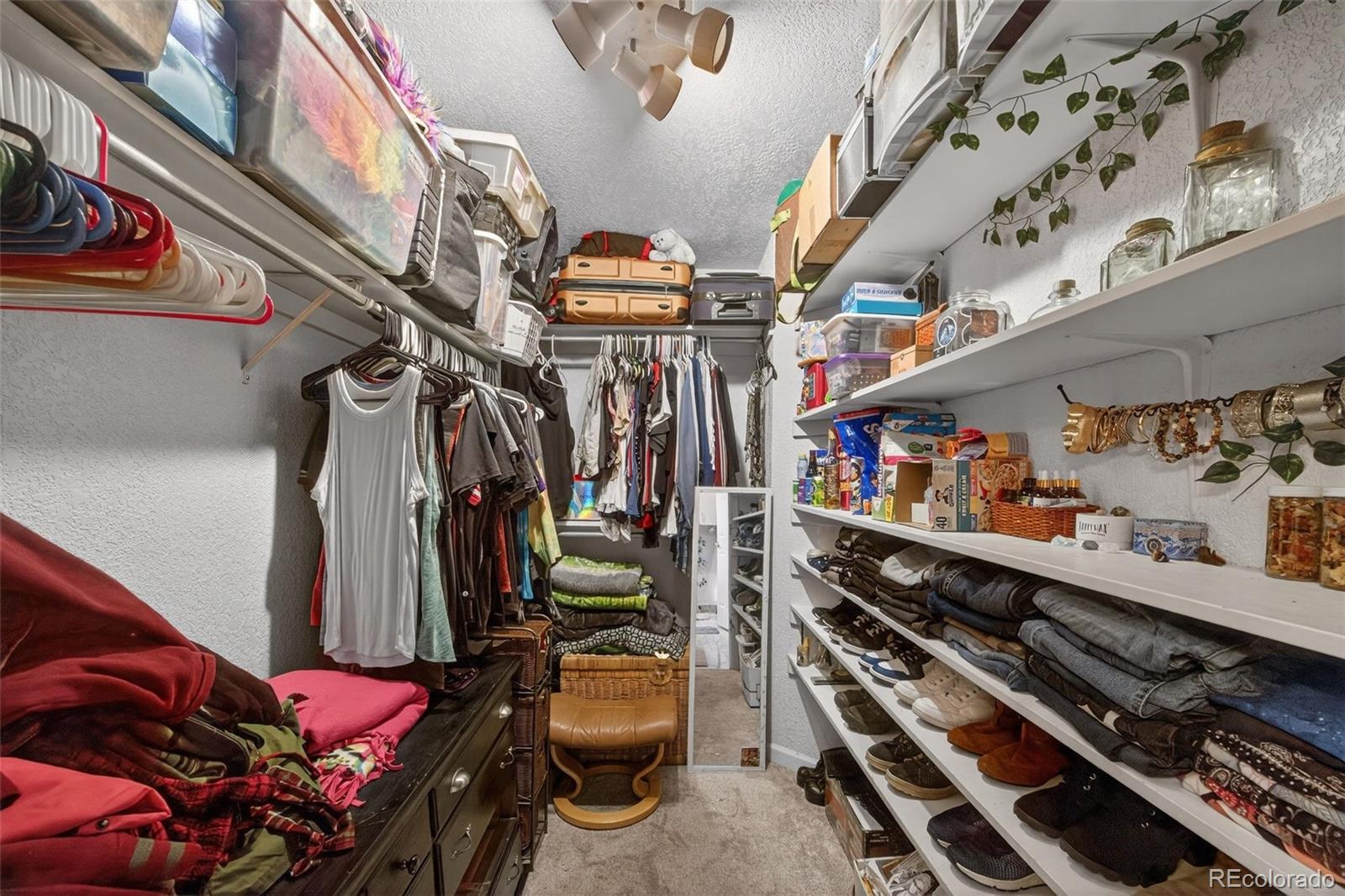 MLS Image #21 for 6175  dover street,arvada, Colorado
