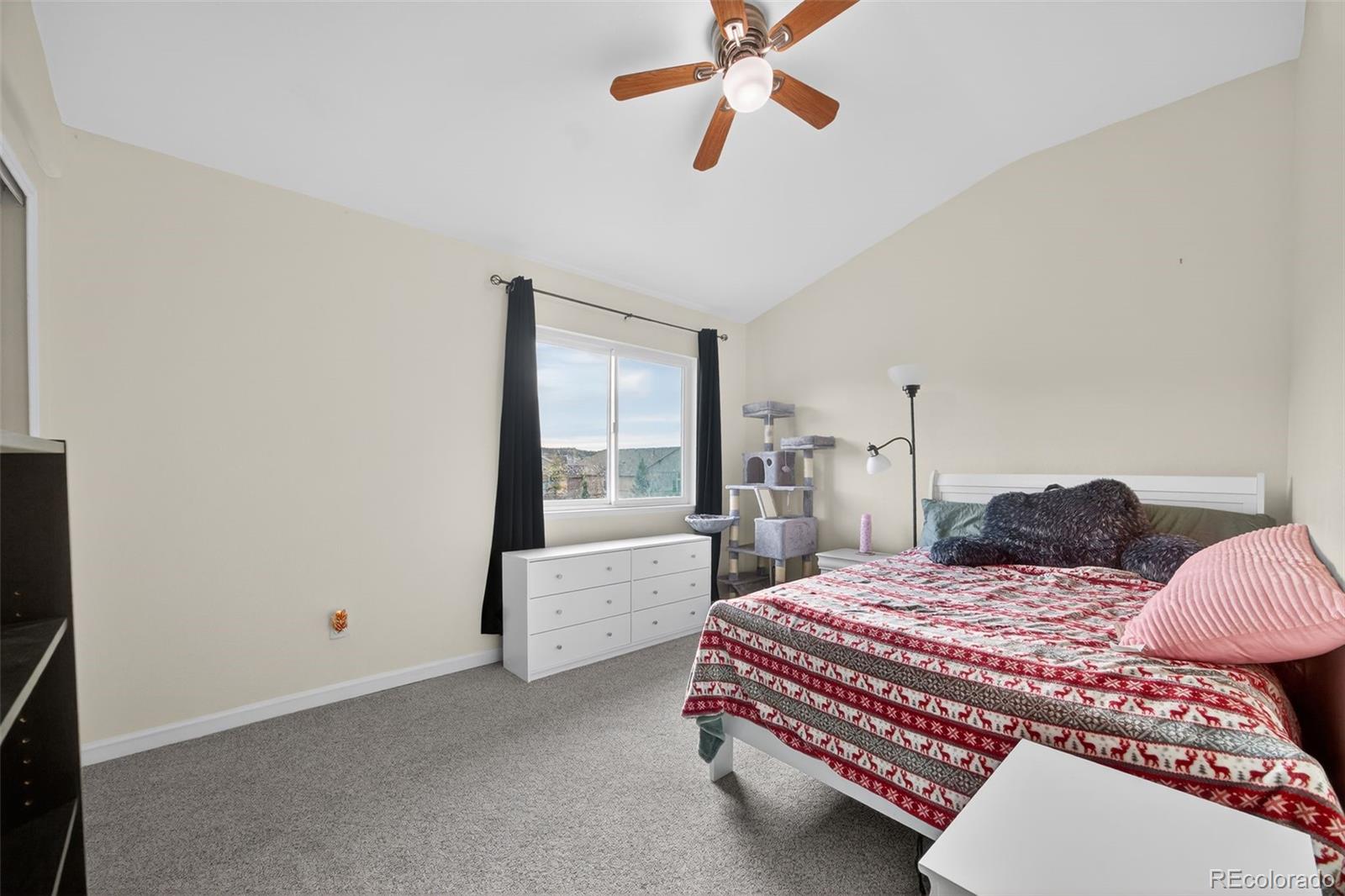 MLS Image #22 for 15635  split creek drive,monument, Colorado