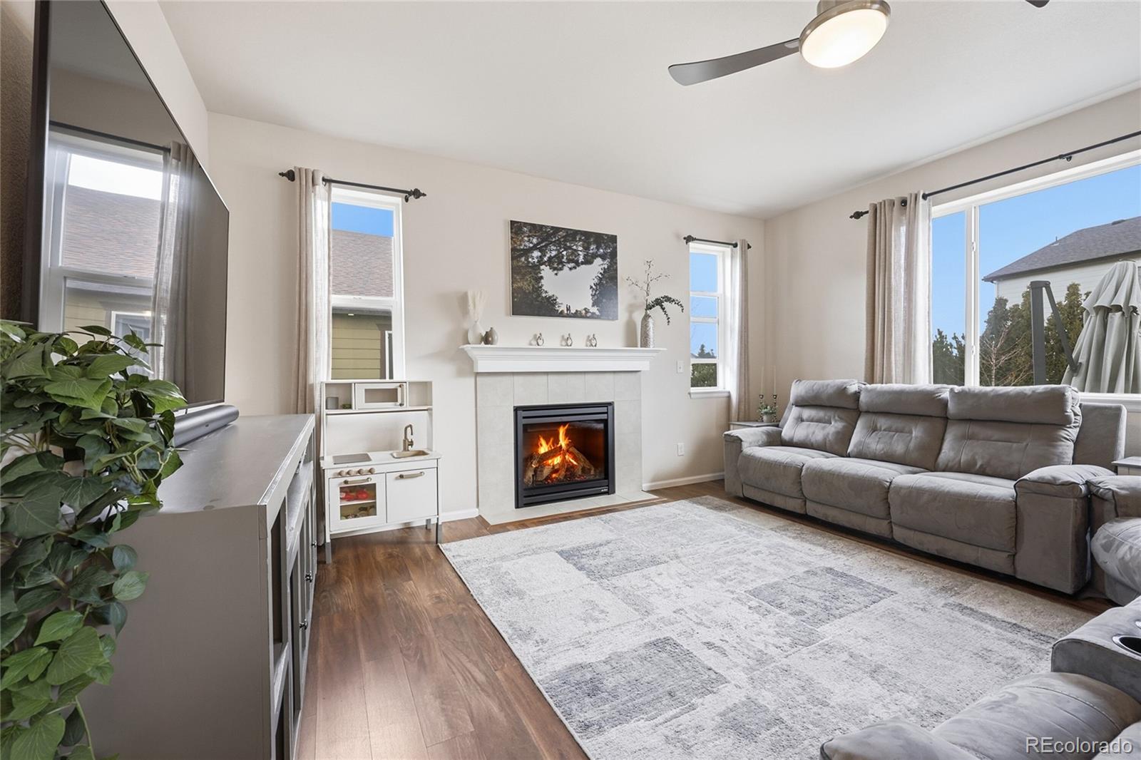 MLS Image #6 for 8191  silver birch drive,colorado springs, Colorado