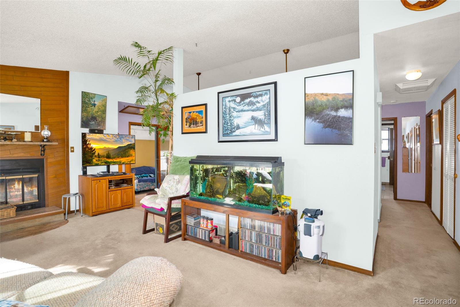 MLS Image #7 for 151  3rd street,frederick, Colorado
