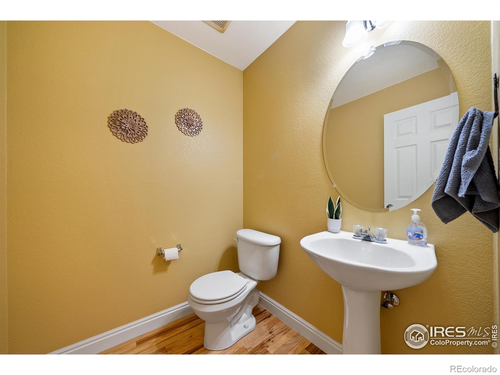 MLS Image #16 for 2814  golden wheat lane,fort collins, Colorado