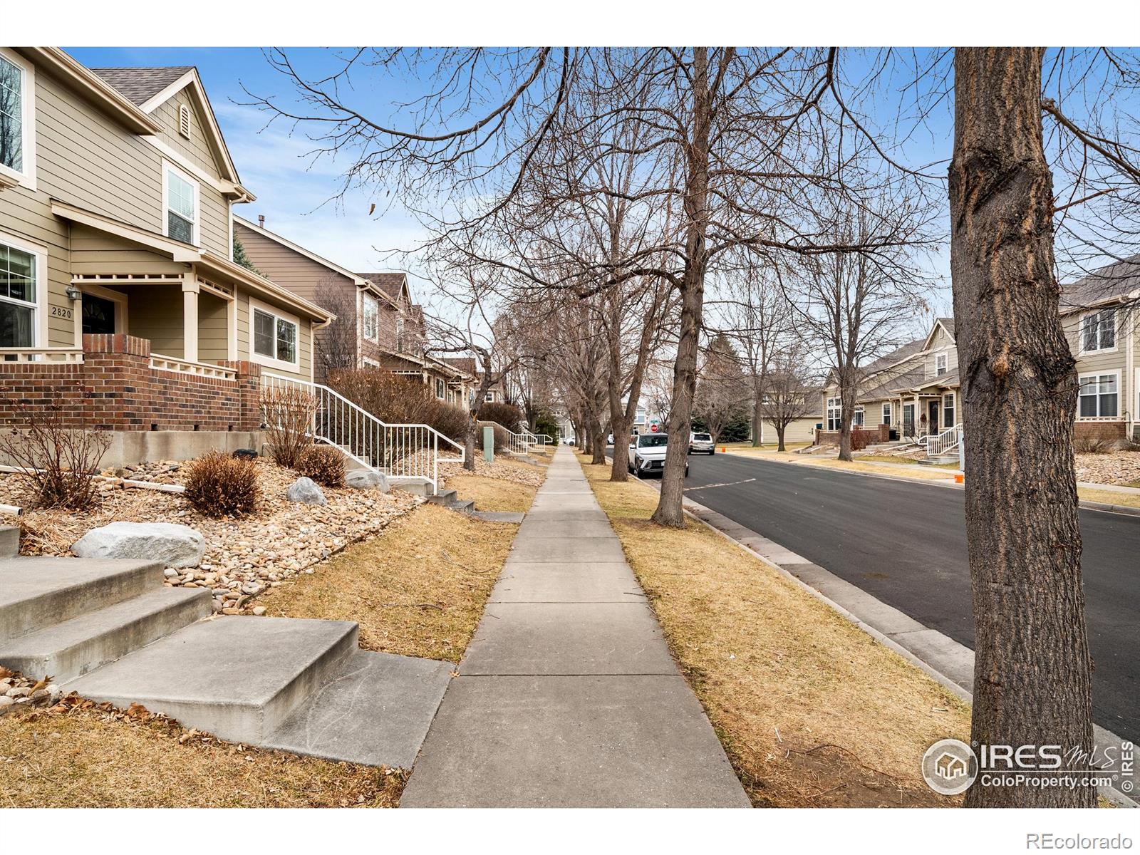 MLS Image #38 for 2814  golden wheat lane,fort collins, Colorado