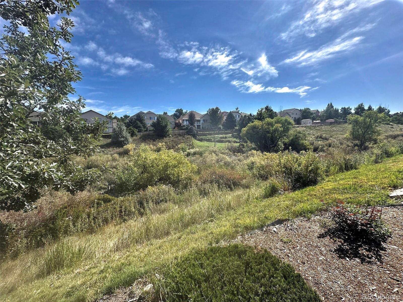 MLS Image #14 for 6463  bluffmont point ,colorado springs, Colorado